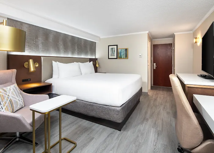 Upper Floors King Room