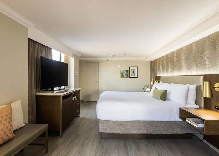 One-Bedroom King Suite